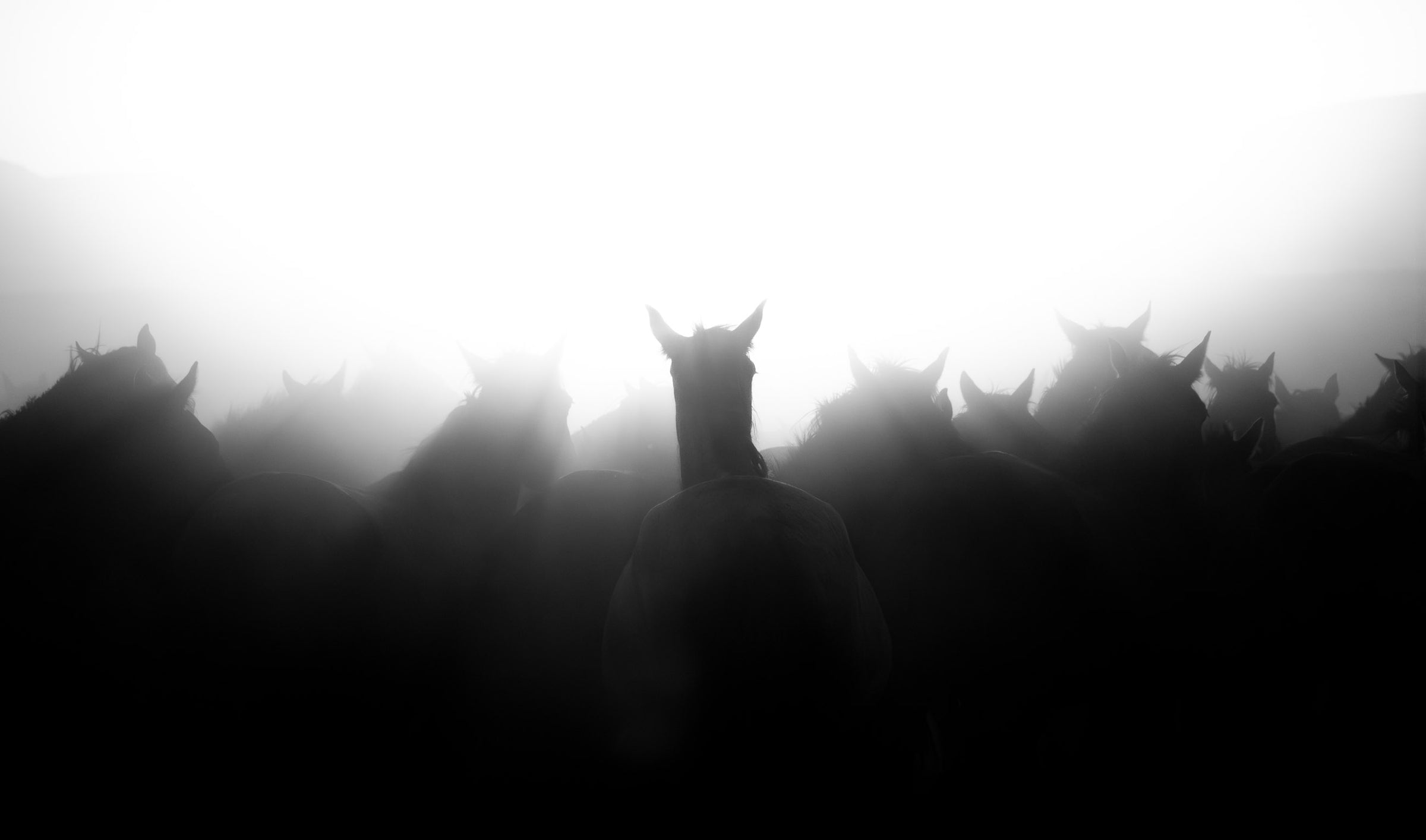 Light & Shadow