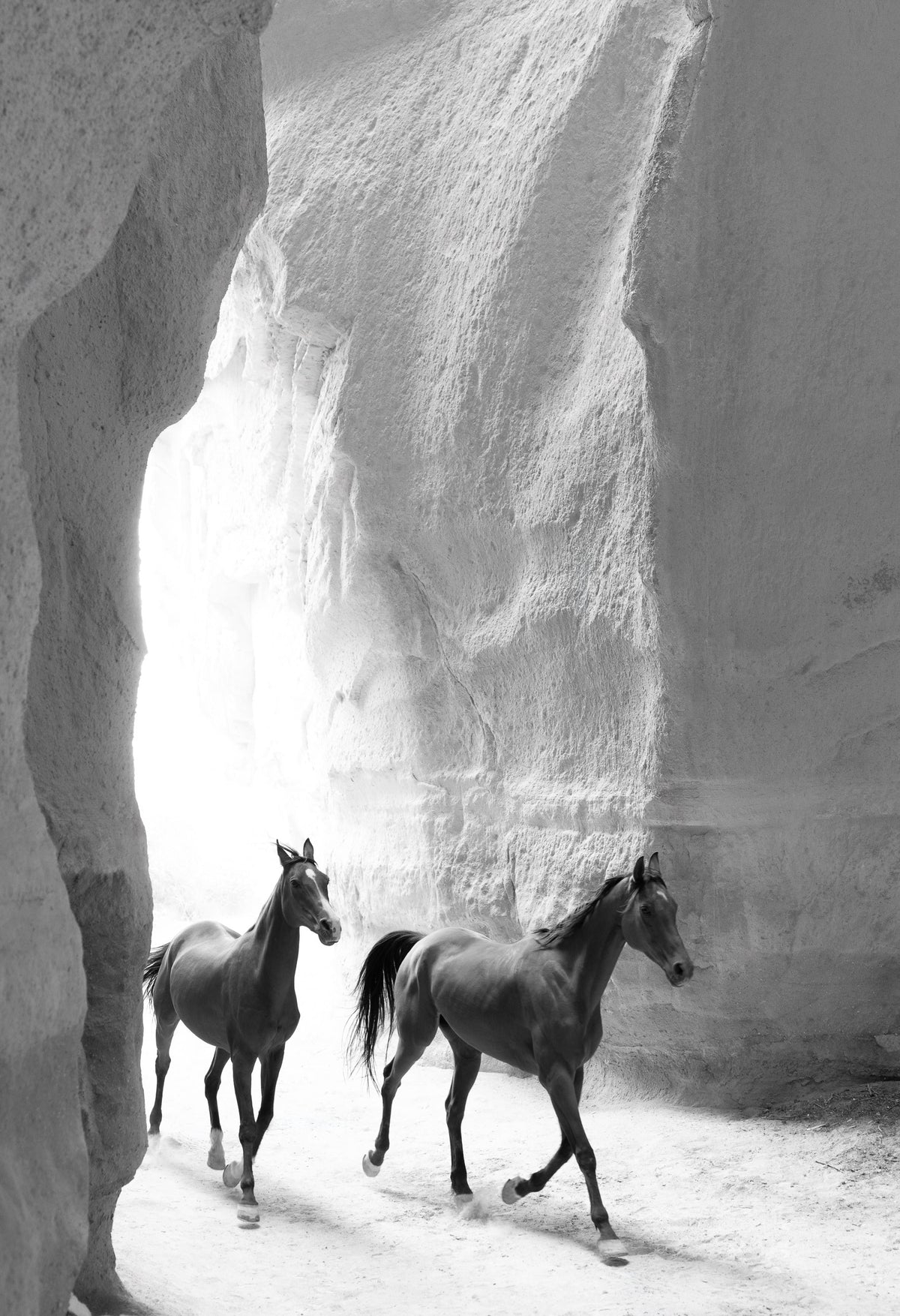 Light & Shadow