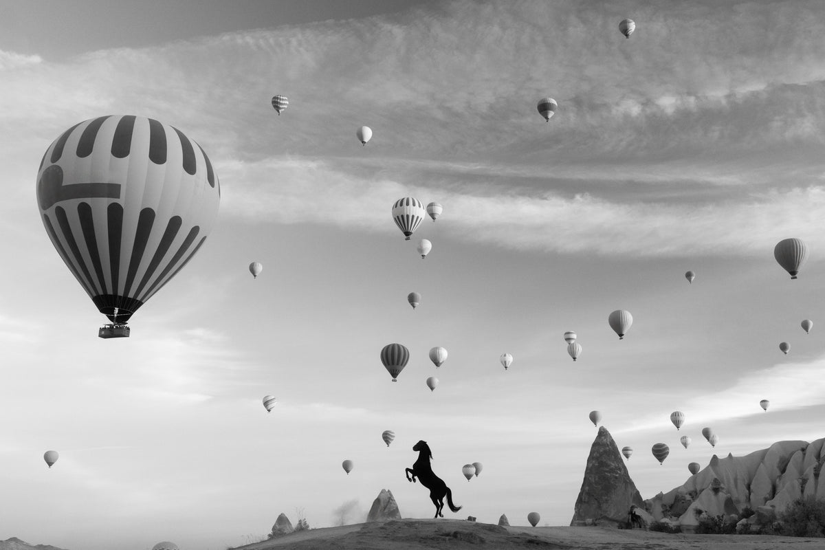 Taking Flight