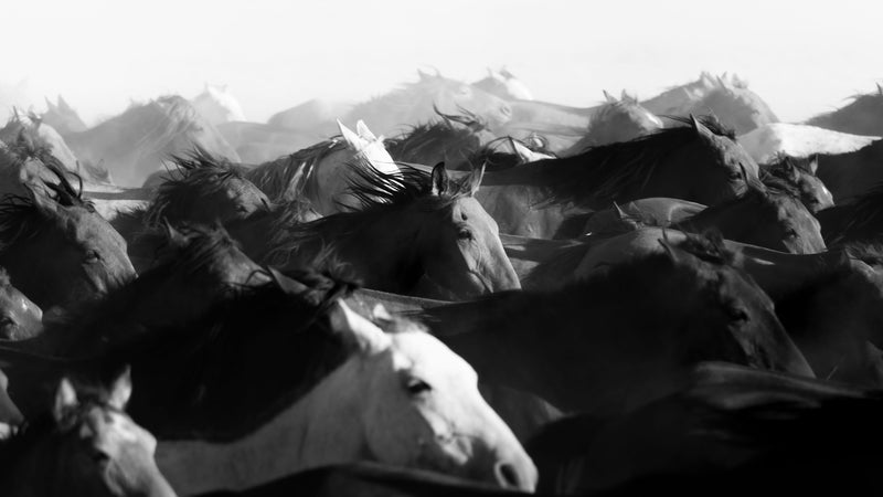 Tempest